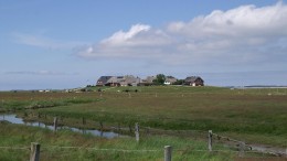 ‘Friesland is meer dan landschap’