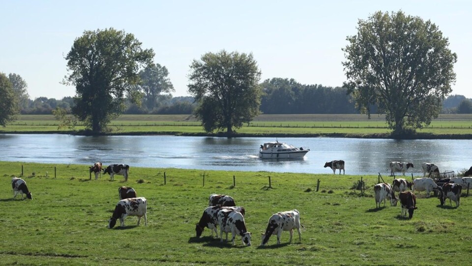 De Maas bij het dorp Overasselt, dat in de gemeente Heumen ligt.