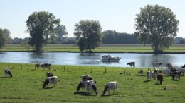 Gelders protest tegen project van Ruimte voor de Rivier