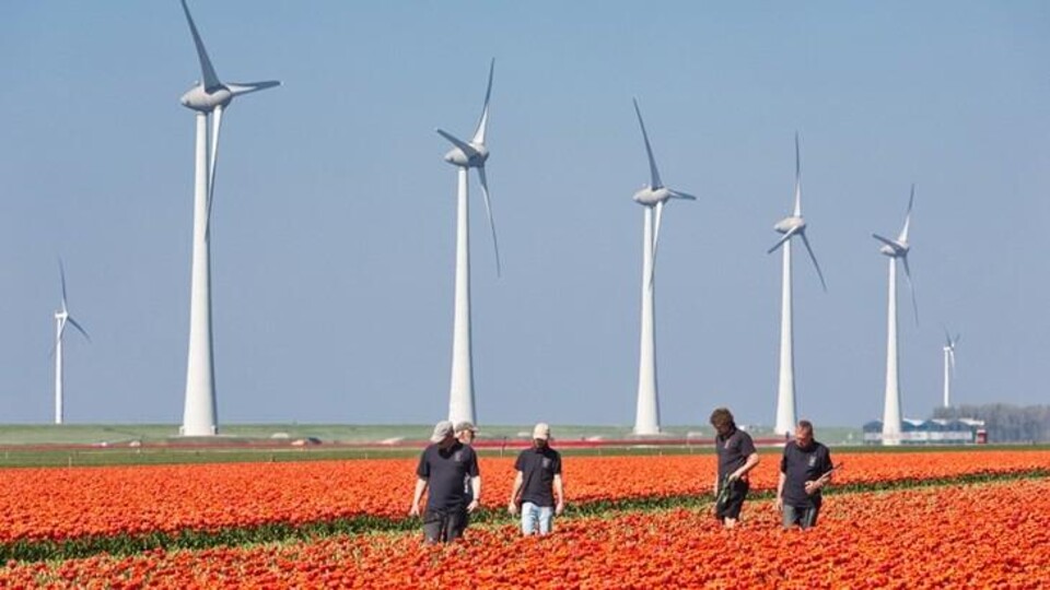 arbeidsmigratie