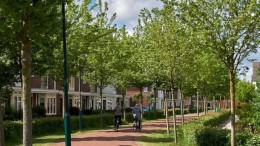 Gezocht: meest gezonde stad initiatief