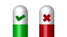 Themastemmen Den Haag: ‘natuur en groen’ belangrijkst