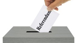 Gemeenten verwelkomen lokaal bindend referendum