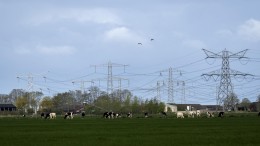 Netcongestie: slecht nieuws voor Den Haag, Groningen, Overijssel