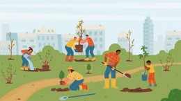 Jeugdbescherming op de schop