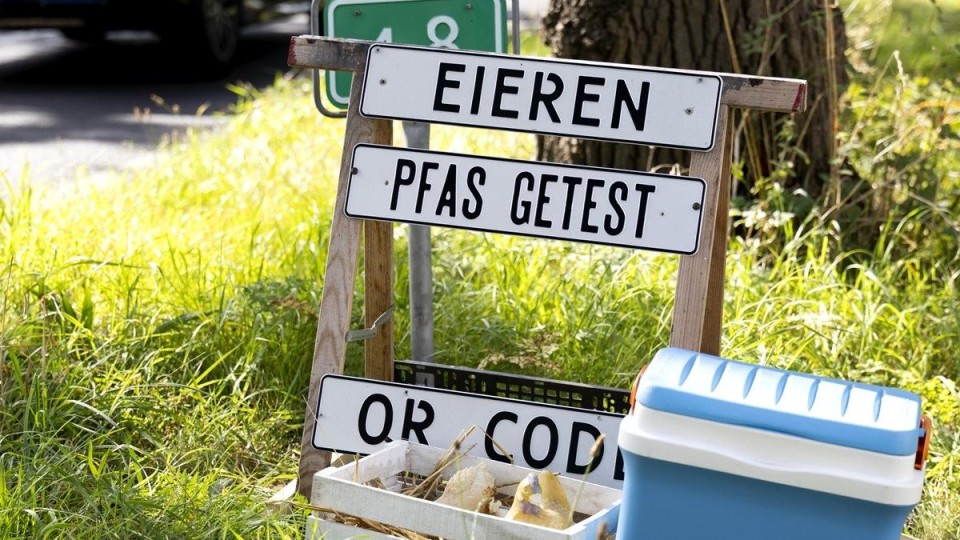 Verkoop van eieren in Groningen.