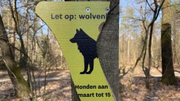 Provincie Utrecht onderzoekt datalek