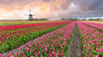 De CO2-Prestatieladder is een versneller en geen papierwinkel!