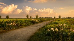 Teylingen gunt veelbesproken pachtgronden aan groep lokale boeren