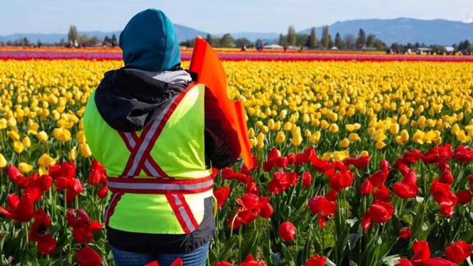 arbeidsmigratie