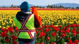 Heeft uw gemeente grip en zicht op arbeidsmigranten? 