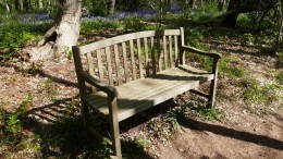 In een tiny forest is het flink koeler