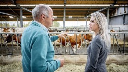 Stikstofplan IPO, VNG en LTO is, zeggen anderen, ‘onvoldoende’