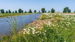 Brabantse Delta moet belastingen opnieuw berekenen