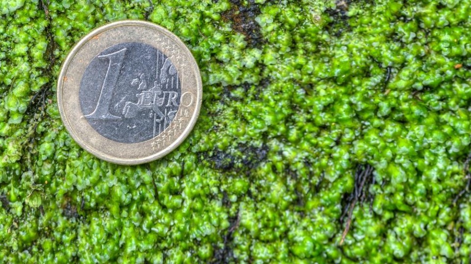 Klimaatplannen kabinet te vaag