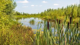 ‘Draai bezuiniging op nationale parken terug.’ 