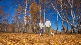 Living Lab: participatietraject voor gemeenten met lef