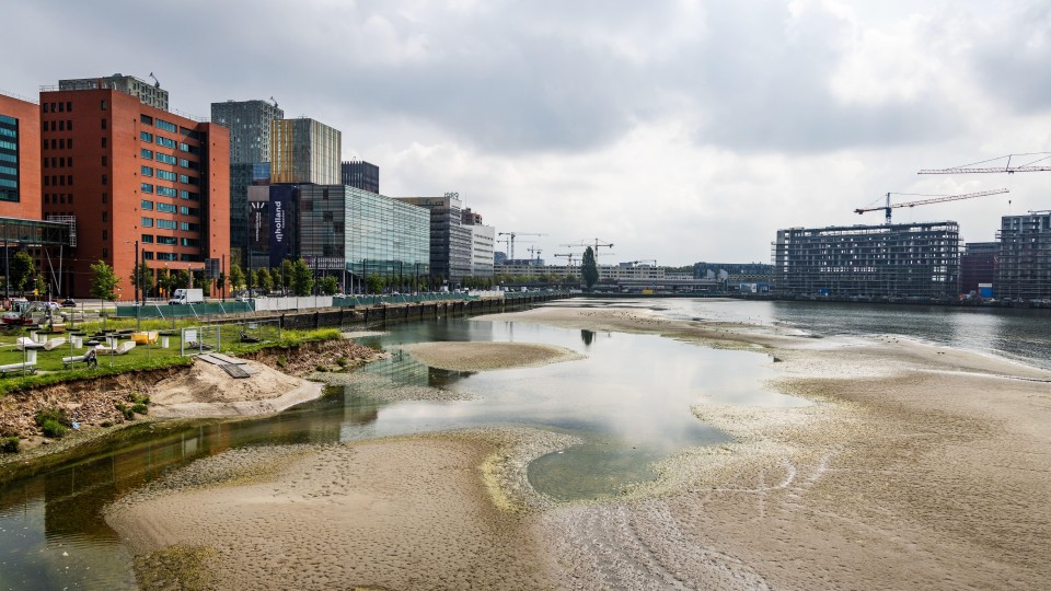 Zandbanken in het aangewonnen land in de Rotterdamse Rijnhaven.
