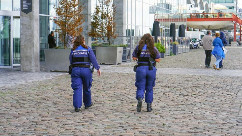Handhavers in Rotterdam