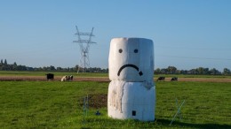 Friesland komt alsnog met stop op stikstofvergunningen 