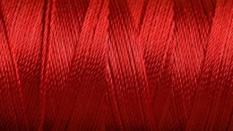 Rode draden voor de jeugdzorg