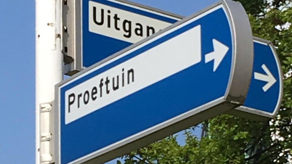 Proeftuin