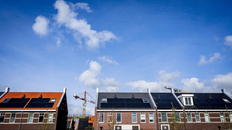 Nieuwbouw in Harderwijk.
