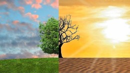 Brandbrief ambtenaren: ‘grote zorgen’ over aanpak klimaat en ecologie