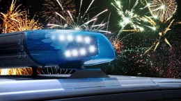 Dadertypen en aanpak economische vuurwerkcriminaliteit