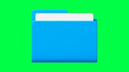 1700 politiemensen zagen dossier Lisa in, meestal zonder reden