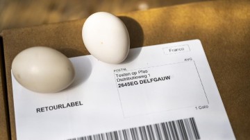 Rechter vindt dat de staat voldoende tegen PFAS doet