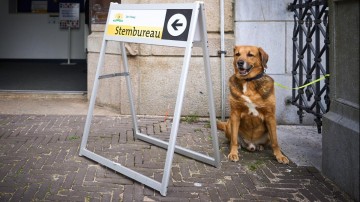 ‘Roep platforms op om verkiezingsevaluatie te publiceren’