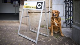 ‘Roep platforms op om verkiezingsevaluatie te publiceren’