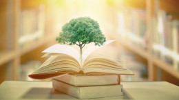 Invoering van Omgevingswet