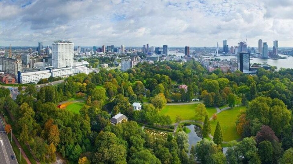 Rotterdam