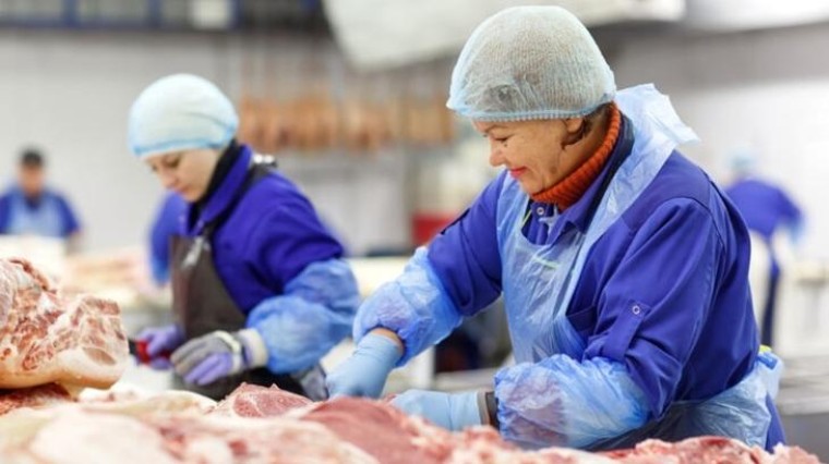 Nederland pakt sluiproute arbeidsmigratie aan