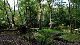 Unieke meetproef met stikstof in provincie Groningen