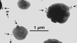 Fijnstof, een ongrijpbaar probleem, maar wat is fijnstof?