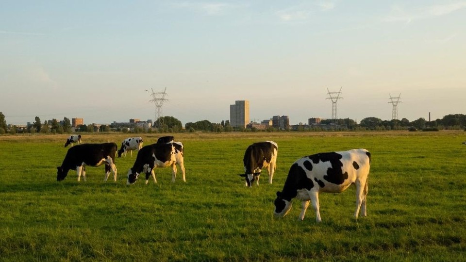 Actief grondbeleid warm aanbevolen.