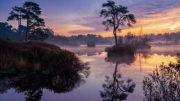 Stilstand in stikstof is achteruitgang: doe wat en wel nu!