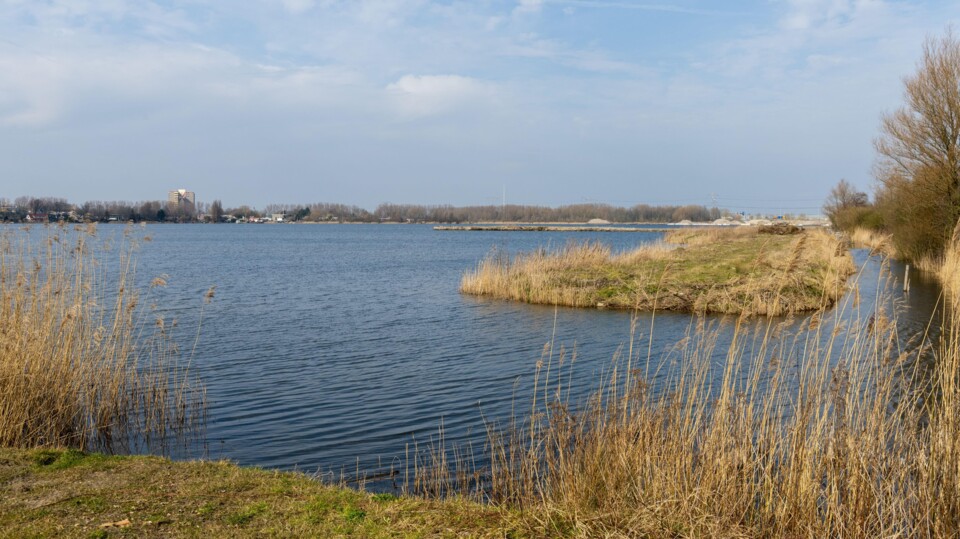 De Noorder IJ plas