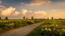 Gemeente Teylingen: aanbesteding pachtgrond moet opnieuw