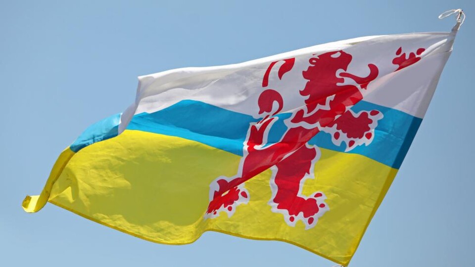 Limburgse vlag met drie strepen en rode leeuw tegen blauwe hemel