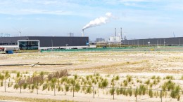 Geen extra natuurcompensatie Maasvlakte nodig