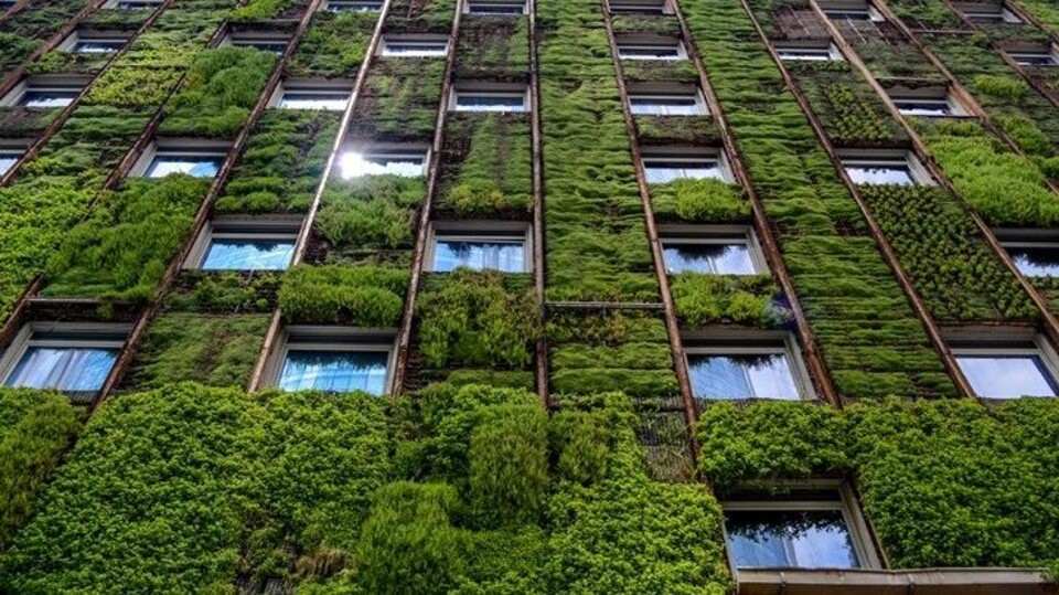 groene lening