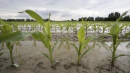 Bedreigingen na wateroverlast: waterschap treft maatregelen