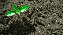 Personeelstekort extra bedreiging voor Omgevingswet