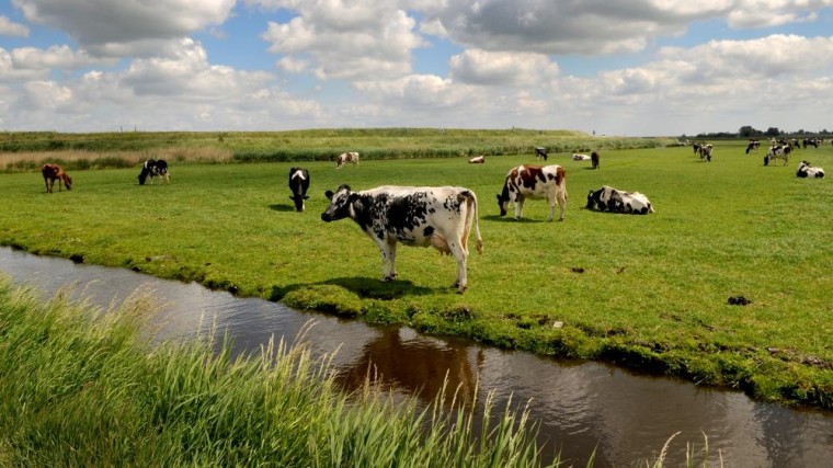 Bedrijven uit bestuur waterschappen