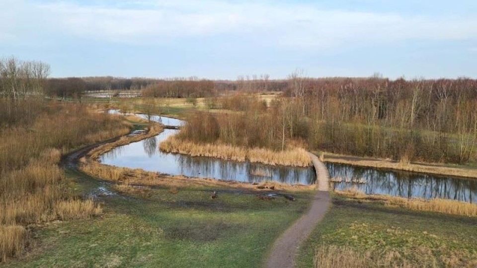 Broekpolder in Vlaardingen