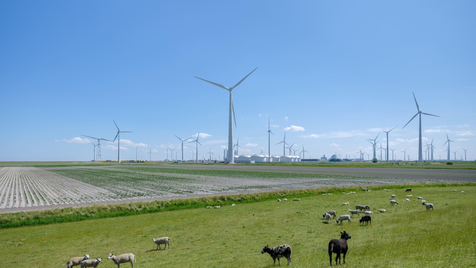 De Eemshaven in Groningen.